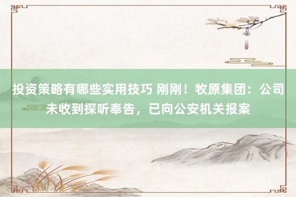 投资策略有哪些实用技巧 刚刚！牧原集团：公司未收到探听奉告，已向公安机关报案