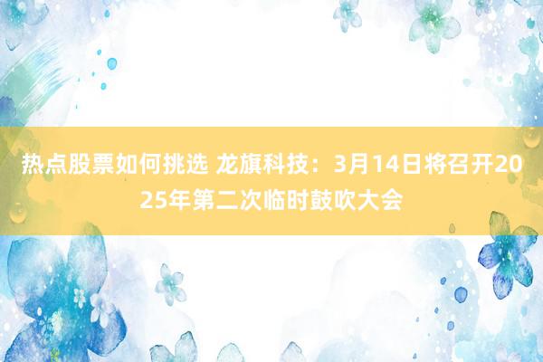 热点股票如何挑选 龙旗科技：3月14日将召开2025年第二次临时鼓吹大会