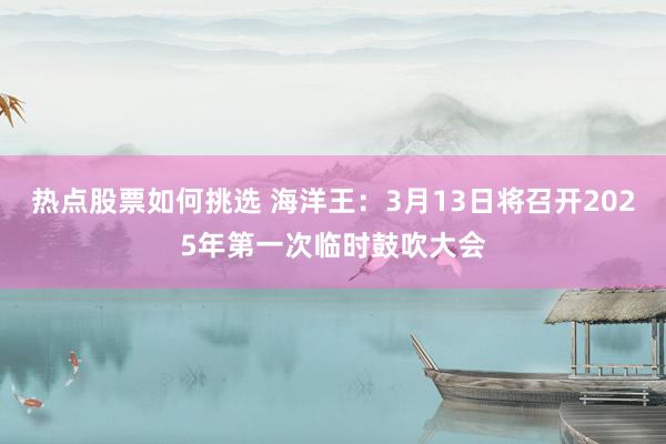 热点股票如何挑选 海洋王：3月13日将召开2025年第一次临时鼓吹大会