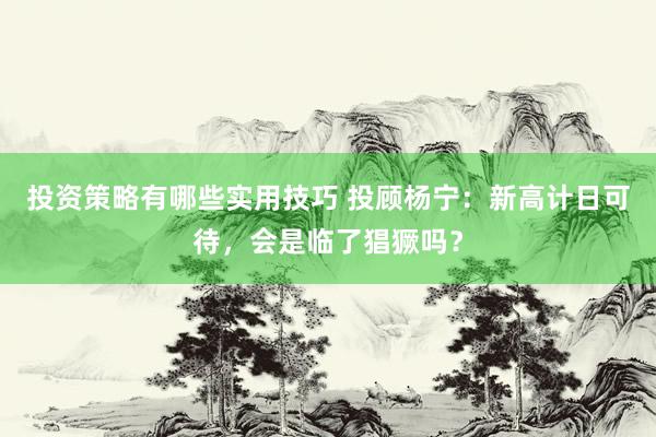 投资策略有哪些实用技巧 投顾杨宁：新高计日可待，会是临了猖獗吗？