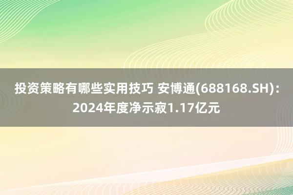 投资策略有哪些实用技巧 安博通(688168.SH)：2024年度净示寂1.17亿元