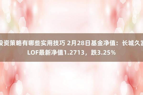 投资策略有哪些实用技巧 2月28日基金净值：长城久富LOF最新净值1.2713，跌3.25%