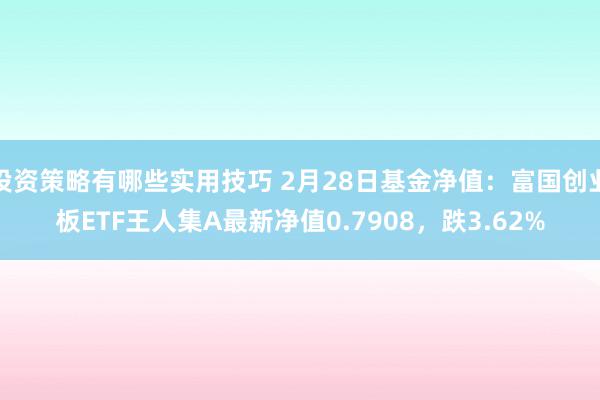 投资策略有哪些实用技巧 2月28日基金净值：富国创业板ETF王人集A最新净值0.7908，跌3.62%