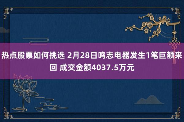 热点股票如何挑选 2月28日鸣志电器发生1笔巨额来回 成交金额4037.5万元