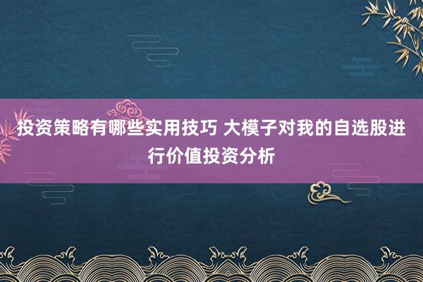 投资策略有哪些实用技巧 大模子对我的自选股进行价值投资分析