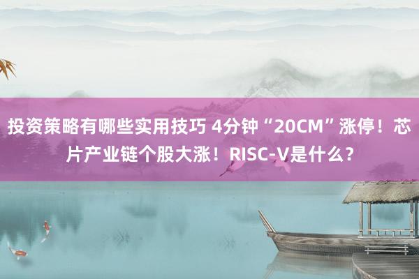 投资策略有哪些实用技巧 4分钟“20CM”涨停！芯片产业链个股大涨！RISC-V是什么？