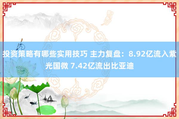 投资策略有哪些实用技巧 主力复盘：8.92亿流入紫光国微 7.42亿流出比亚迪