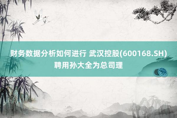 财务数据分析如何进行 武汉控股(600168.SH)聘用孙大全为总司理