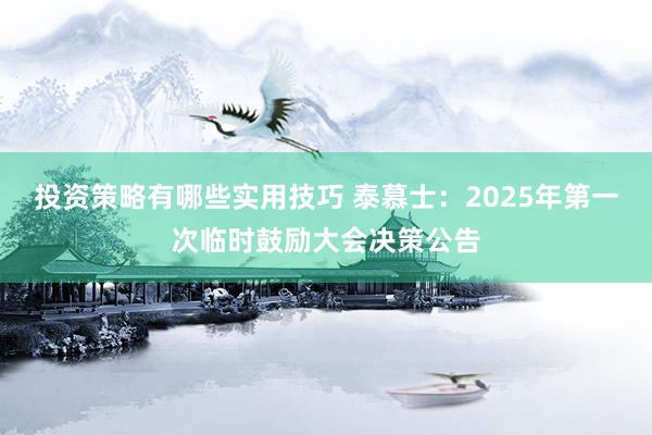 投资策略有哪些实用技巧 泰慕士：2025年第一次临时鼓励大会决策公告