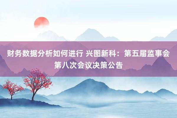 财务数据分析如何进行 兴图新科：第五届监事会第八次会议决策公告