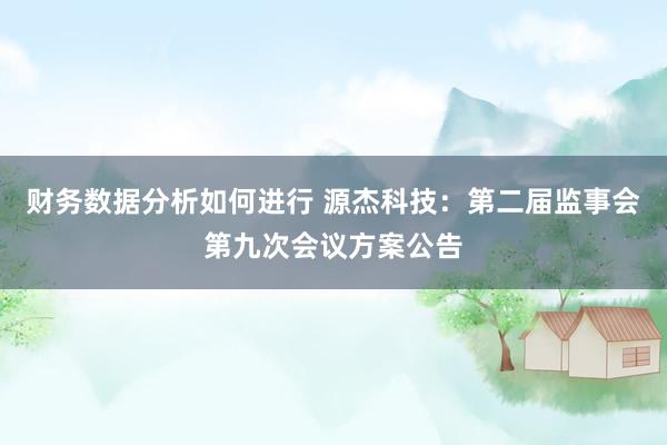 财务数据分析如何进行 源杰科技：第二届监事会第九次会议方案公告