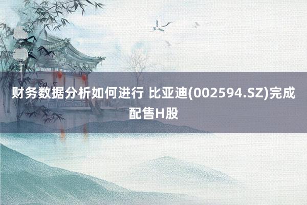 财务数据分析如何进行 比亚迪(002594.SZ)完成配售H股