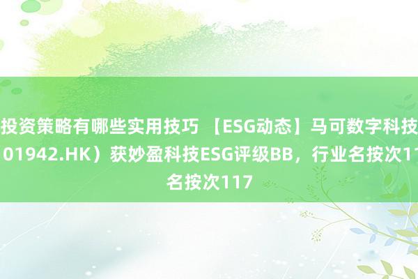 投资策略有哪些实用技巧 【ESG动态】马可数字科技（01942.HK）获妙盈科技ESG评级BB，行业名按次117